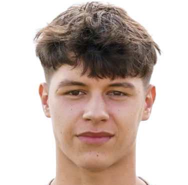 N. Sarcevic profil resmi