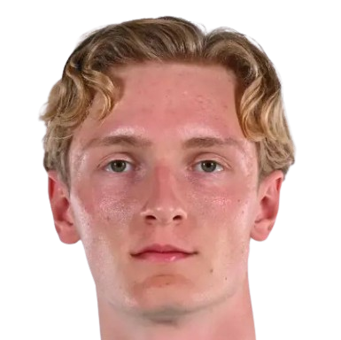 Viktor Alestig logo
