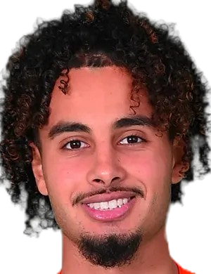 N. Homssa profil resmi