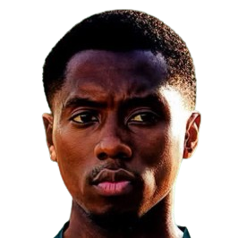 Mohamed Ndiaye logótipo