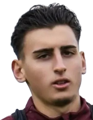 Emir Aslan logosu