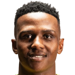 K. Ndamane profil resmi