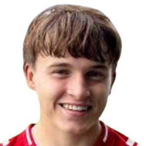 Daniel Ailo Sakshaug Bær logo