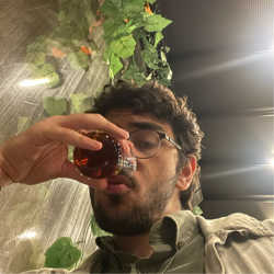 Ahmet Emre Gülseren