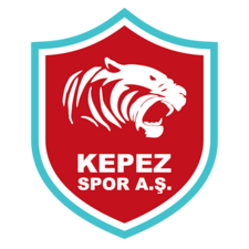 team logo