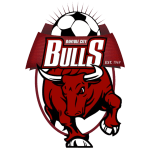 Banyule City SC logosu