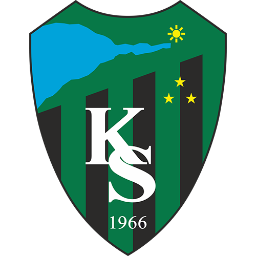 team logo