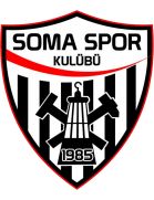 team logo