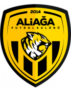 team logo