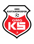 team logo