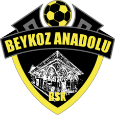 team logo