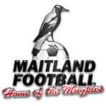 Maitland FC Reserve logosu