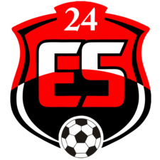 team logo