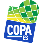Copa Espírito Santo