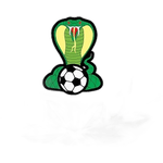 Adelaide Cobras Reserves logosu
