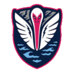 South Georgia Tormenta FC (K) logosu
