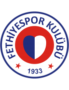 team logo