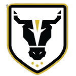 Bulls FC Academy U20 logosu