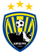 team logo