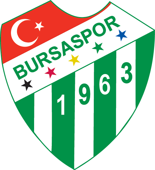 team logo