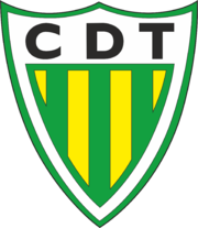 team logo