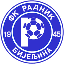 team logo