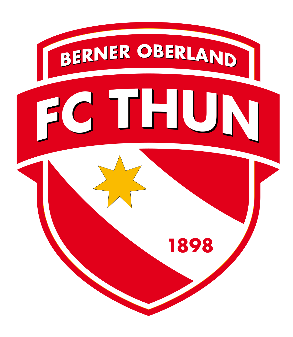 team logo