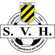 team logo