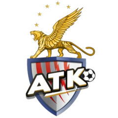 team logo