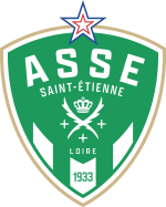 team logo