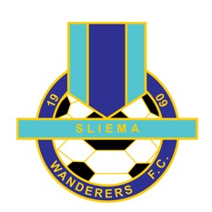 team logo