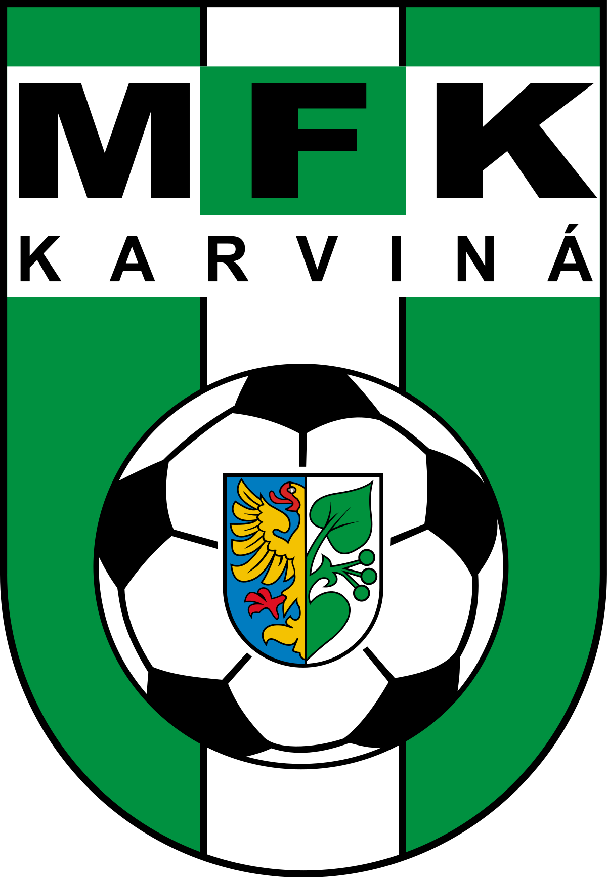 team logo