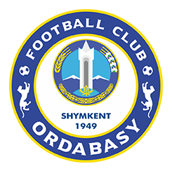 team logo