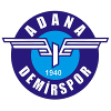 team logo