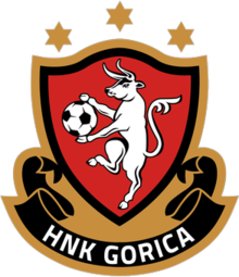 team logo