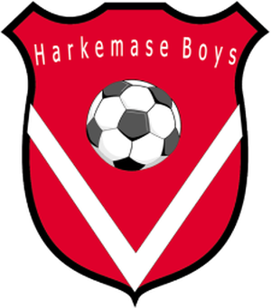 team logo