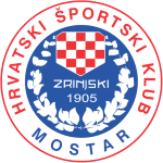 team logo