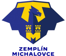 team logo