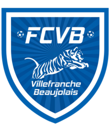 team logo