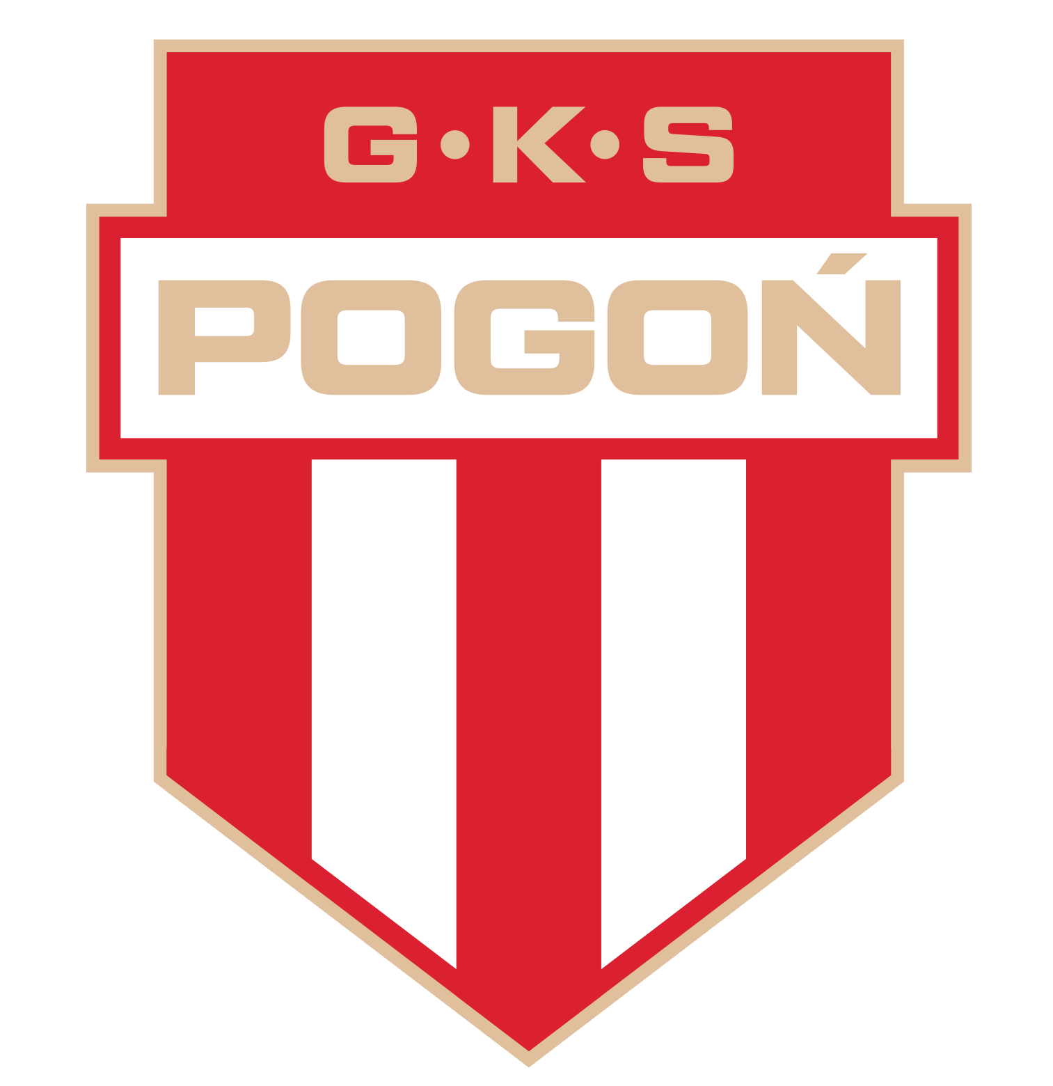 team logo