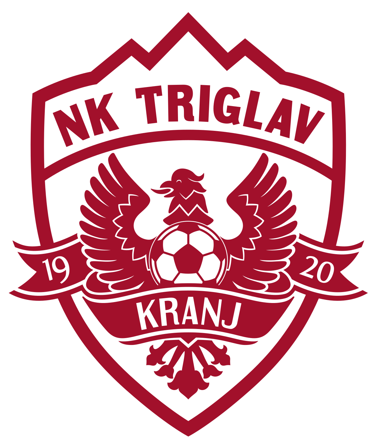 team logo