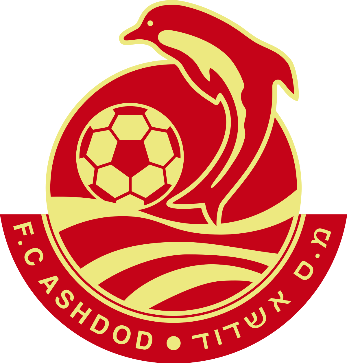 team logo