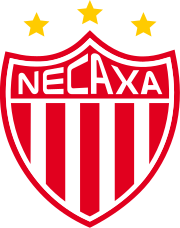 team logo