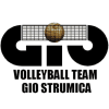 Strumica logosu